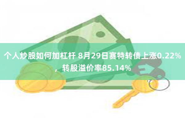 个人炒股如何加杠杆 8月29日赛特转债上涨0.22%，转股溢价率85.14%