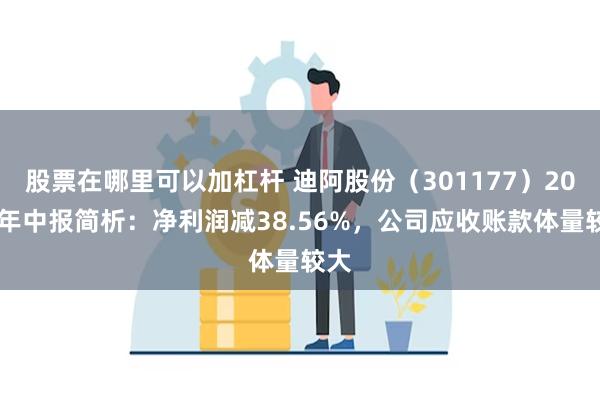 股票在哪里可以加杠杆 迪阿股份（301177）2024年中报简析：净利润减38.56%，公司应收账款体量较大