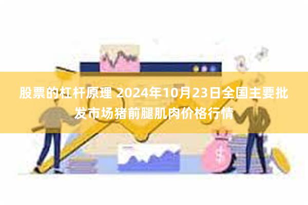 股票的杠杆原理 2024年10月23日全国主要批发市场猪前腿肌肉价格行情