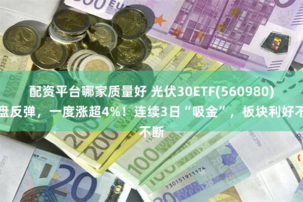 配资平台哪家质量好 光伏30ETF(560980)开盘反弹，一度涨超4%！连续3日“吸金”，板块利好不断