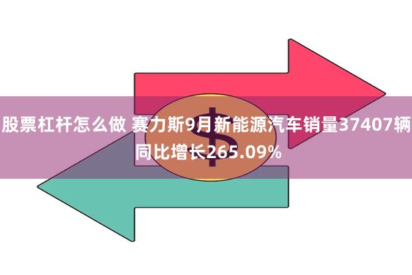 股票杠杆怎么做 赛力斯9月新能源汽车销量37407辆 同比增长265.09%