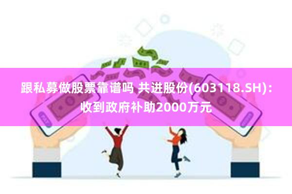 跟私募做股票靠谱吗 共进股份(603118.SH)：收到政府补助2000万元