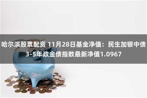 哈尔滨股票配资 11月28日基金净值：民生加银中债3-5年政金债指数最新净值1.0967