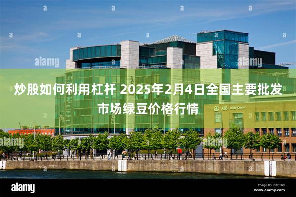 炒股如何利用杠杆 2025年2月4日全国主要批发市场绿豆价格行情