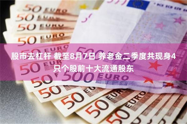 股市去杠杆 截至8月7日 养老金二季度共现身4只个股前十大流通股东